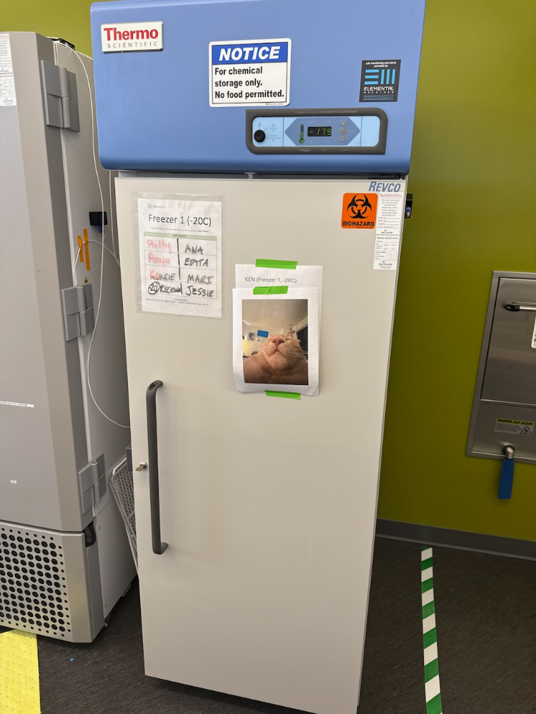 Image of Thermo Revco -20C freezer